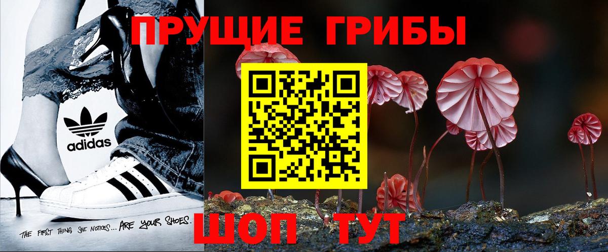 Галлюциногенные грибы Psilocybine cubensis Полевской