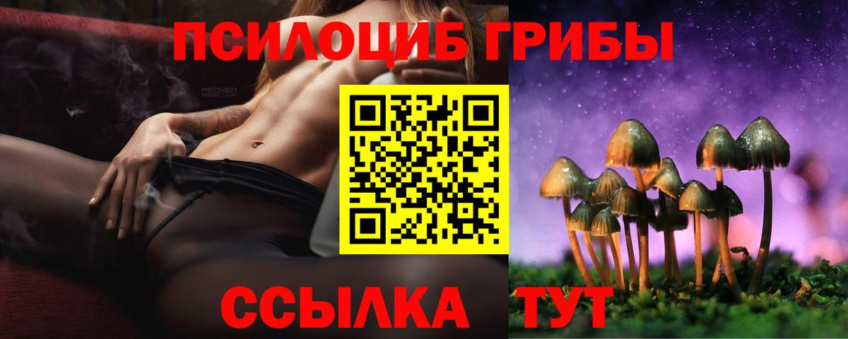 Галлюциногенные грибы прущие грибы  Галлюциногенные грибы ЛСД  Полевской  Вход с VPN 