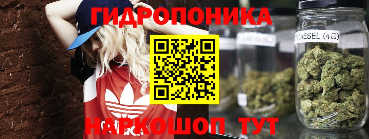 Бошки Шишки семена  Вход с VPN  Бошки марихуана SATIVA & INDICA  Каннабис Ganja  МАРИХУАНА OG Kush  Полевской 